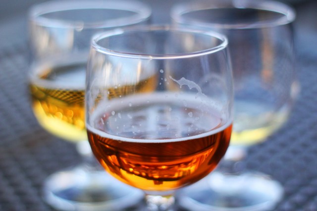 Nevada beer